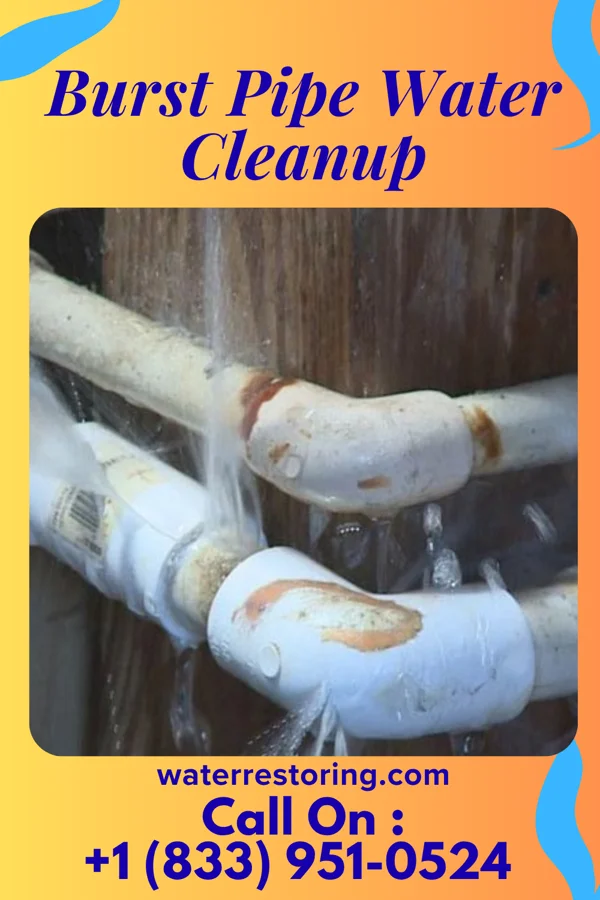 Burst Pipe Water Cleanup in Sunman, IN
