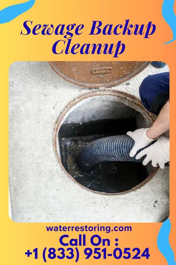 Sewage Backup Cleanup in Sunman, IN
